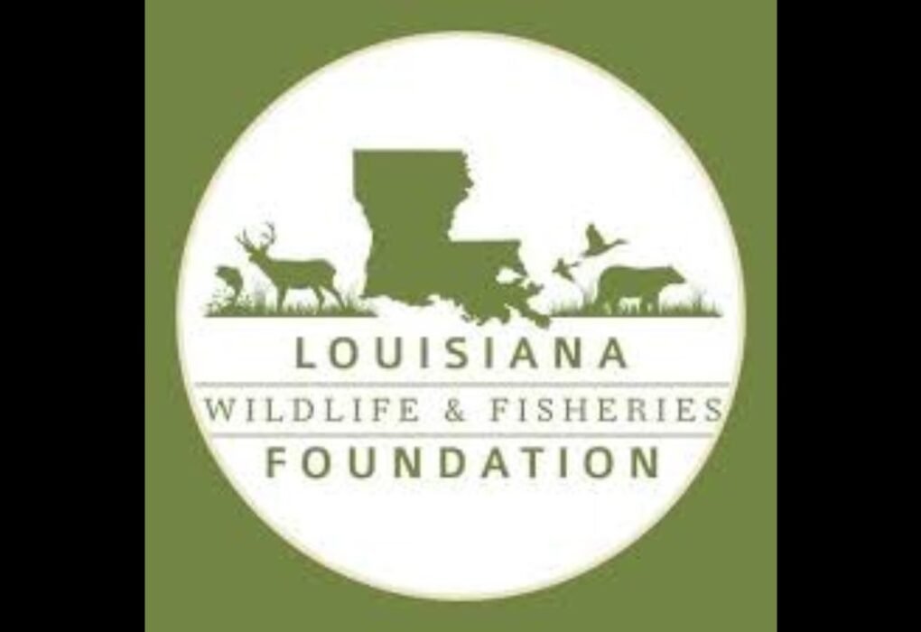 Louisiana Department of Wildlife and Fisheries