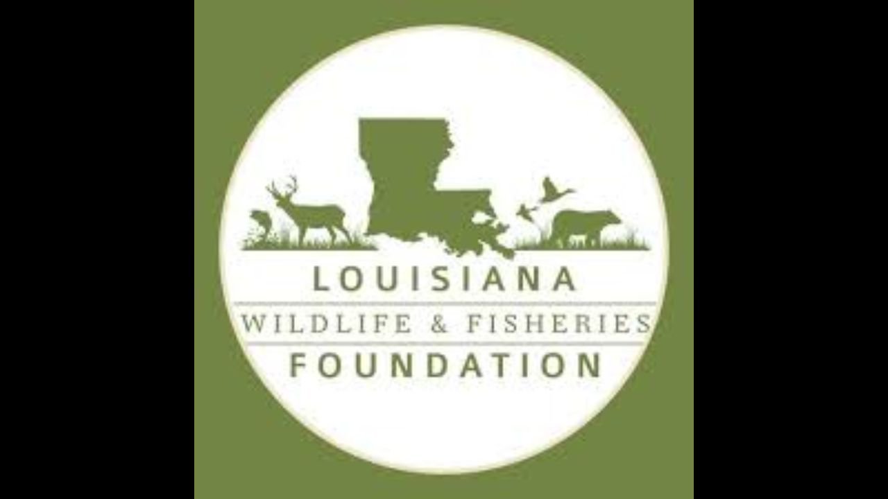 Louisiana Department of Wildlife and Fisheries