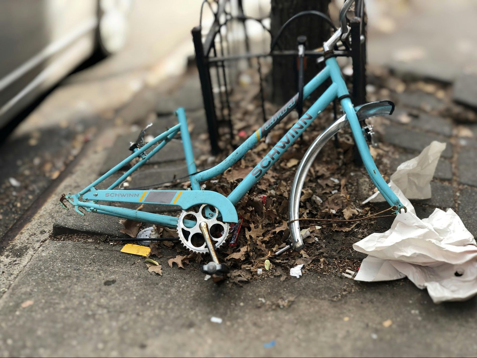 Junk Removal